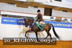 20_REGION9_00517 proof