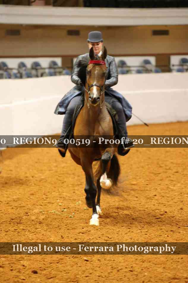 Proof 20_REGION9_00519