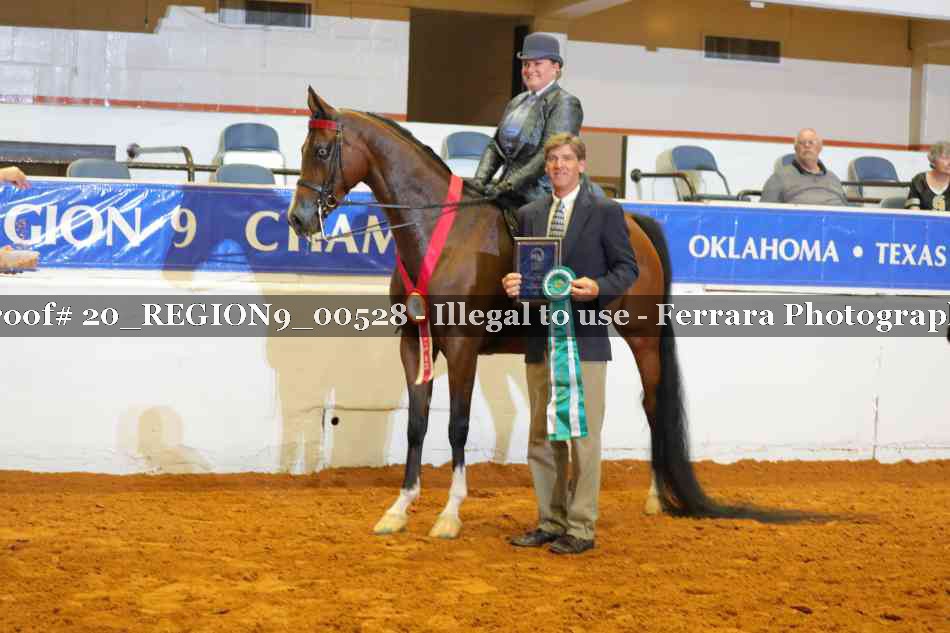Proof 20_REGION9_00528