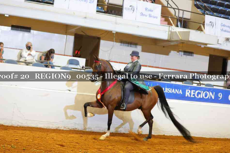 Proof 20_REGION9_00535