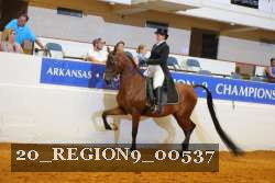 20_REGION9_00537 proof
