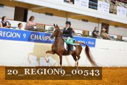 20_REGION9_00543 proof