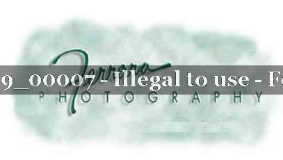 Proof 20_REGION9_00007