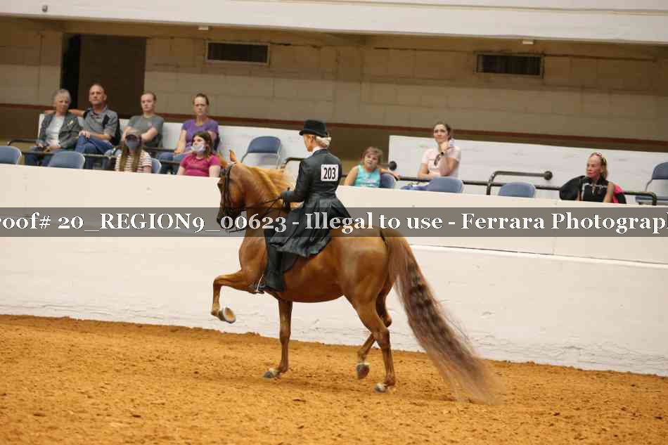 Proof 20_REGION9_00623