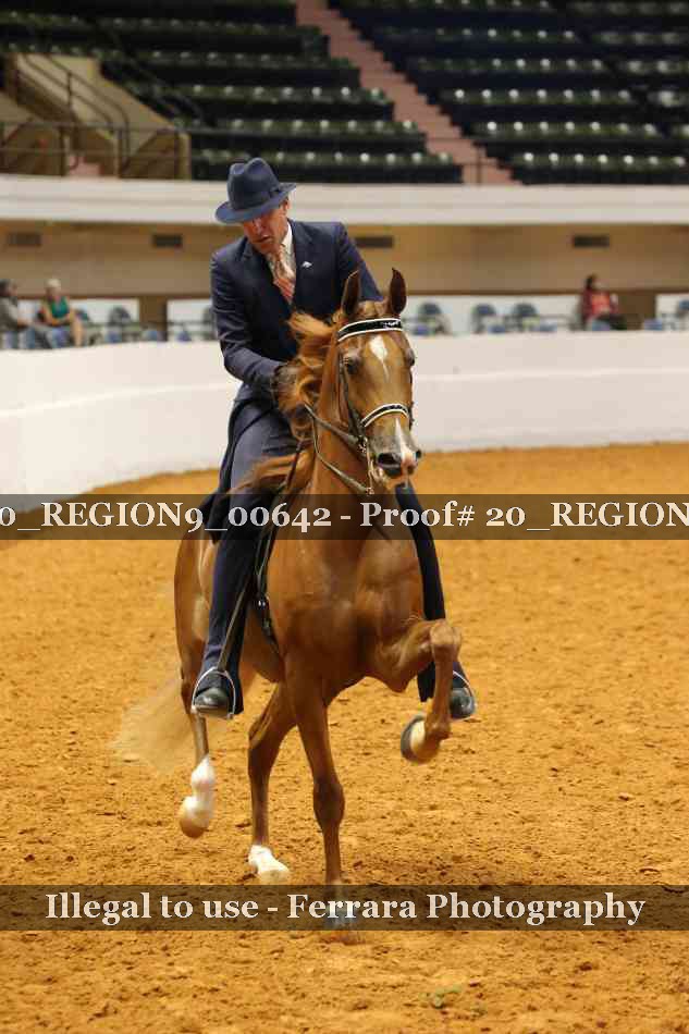 Proof 20_REGION9_00642