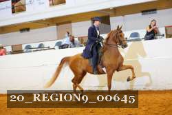 20_REGION9_00645 proof