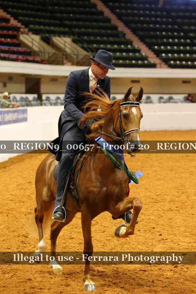 Proof 20_REGION9_00657