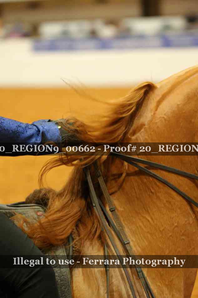 Proof 20_REGION9_00662