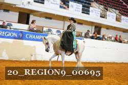 20_REGION9_00695 proof