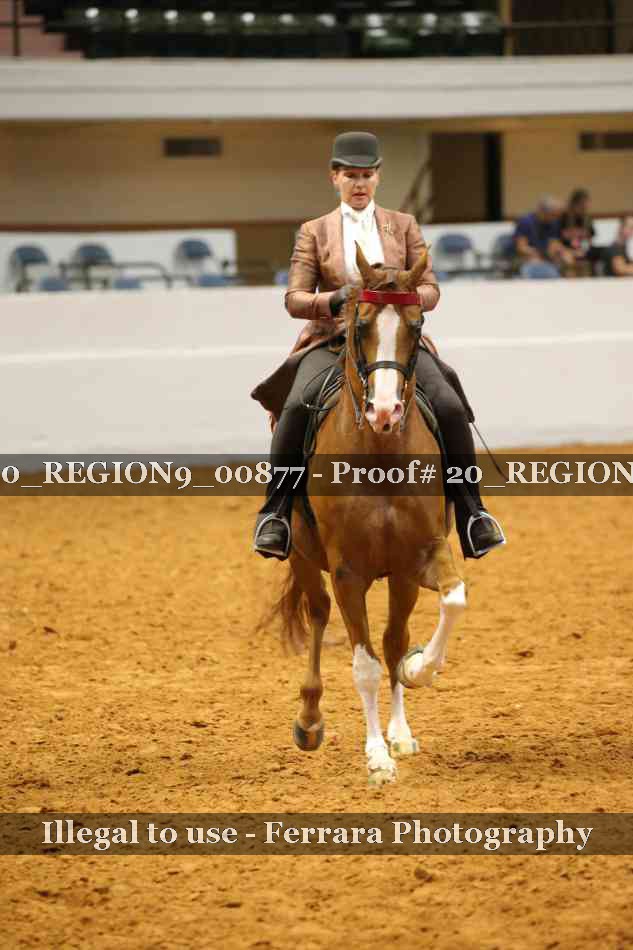 Proof 20_REGION9_00877