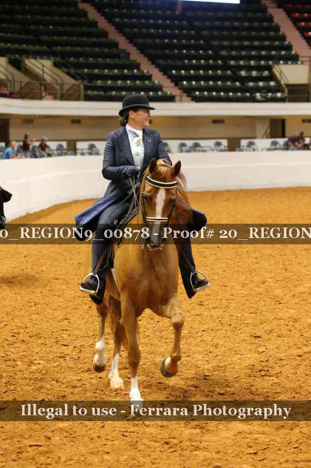 Proof 20_REGION9_00878
