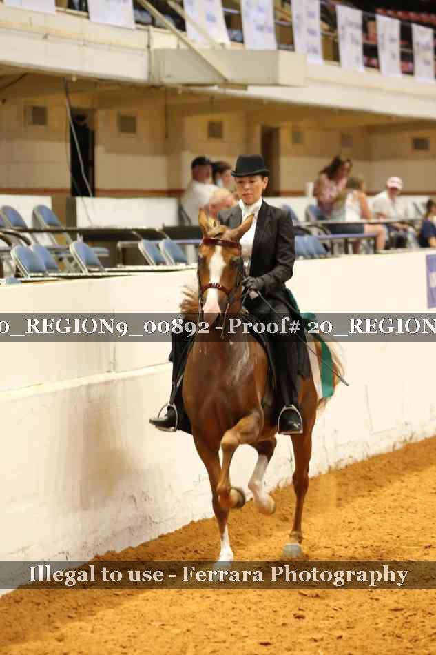 Proof 20_REGION9_00892