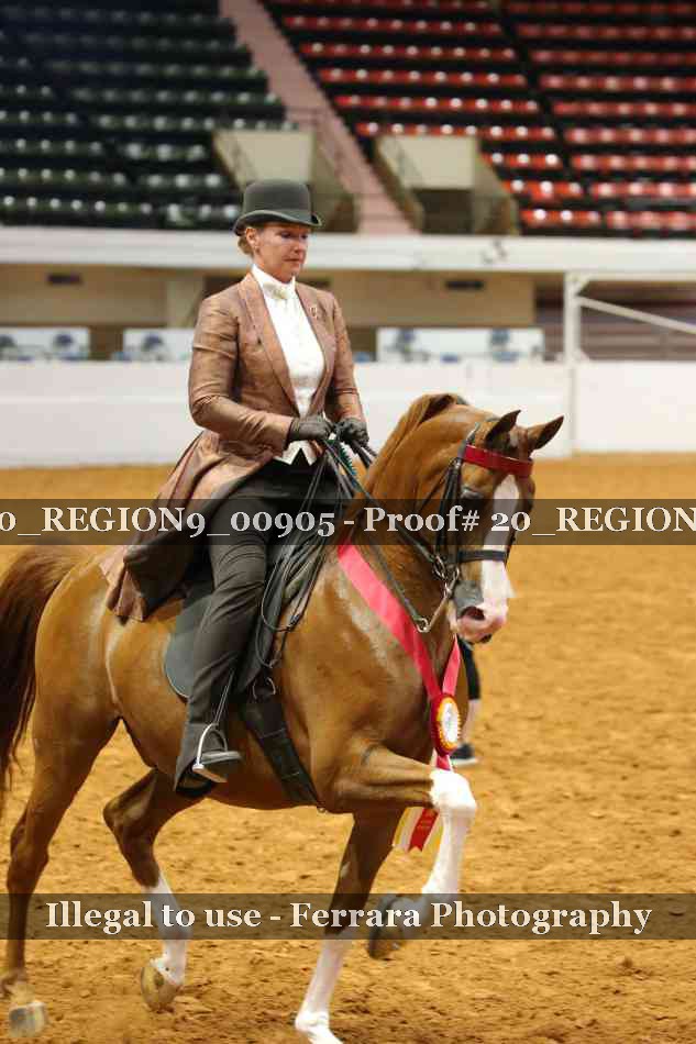 Proof 20_REGION9_00905