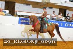 20_REGION9_00911 proof