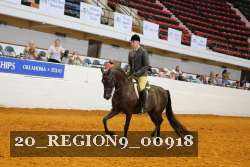 20_REGION9_00918 proof