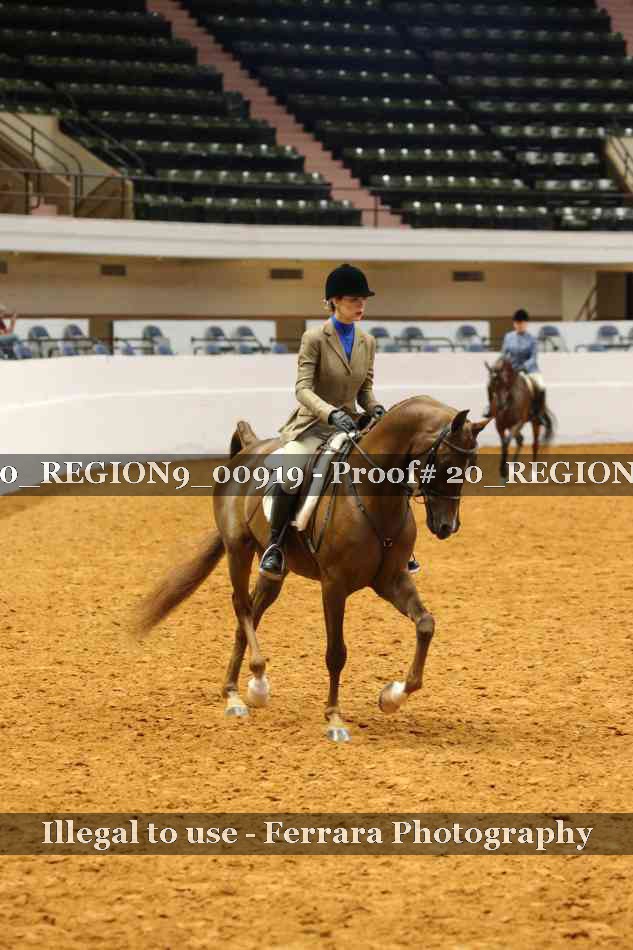 Proof 20_REGION9_00919
