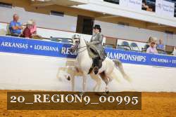 20_REGION9_00995 proof