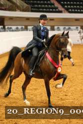 20_REGION9_00999 proof