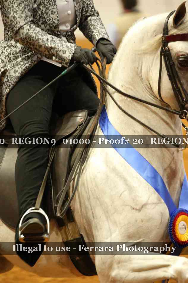 Proof 20_REGION9_01000