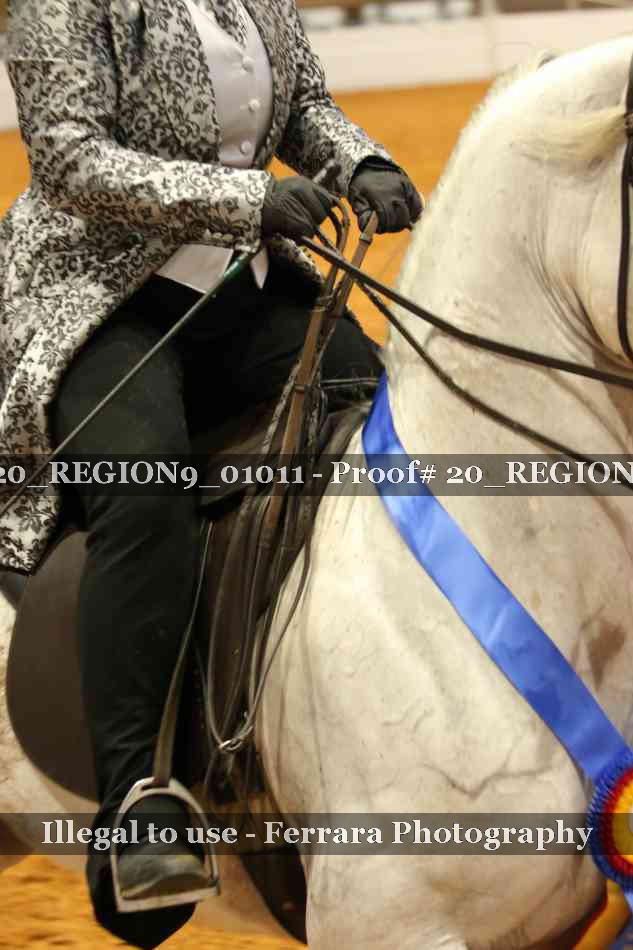 Proof 20_REGION9_01011