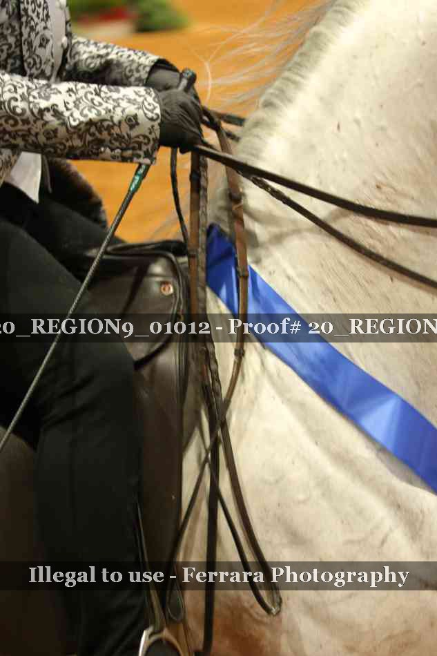 Proof 20_REGION9_01012