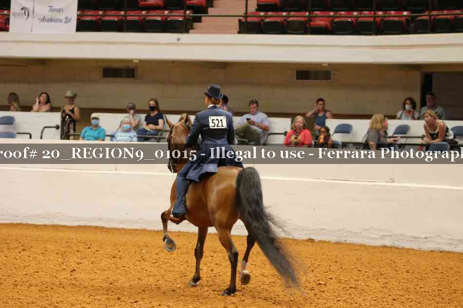 Proof 20_REGION9_01015