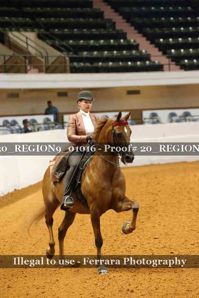 Proof 20_REGION9_01016