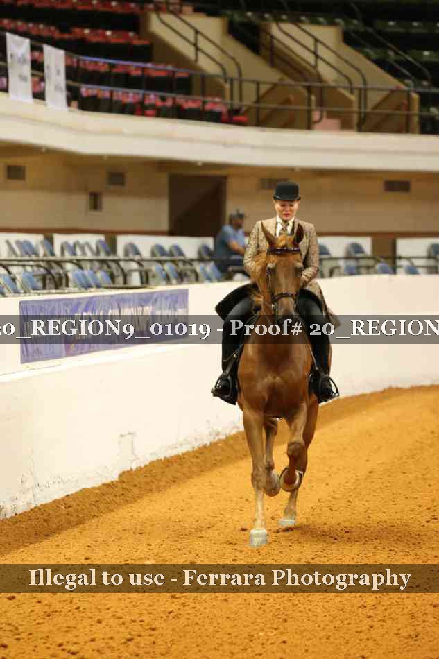 Proof 20_REGION9_01019