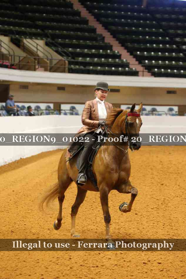 Proof 20_REGION9_01022