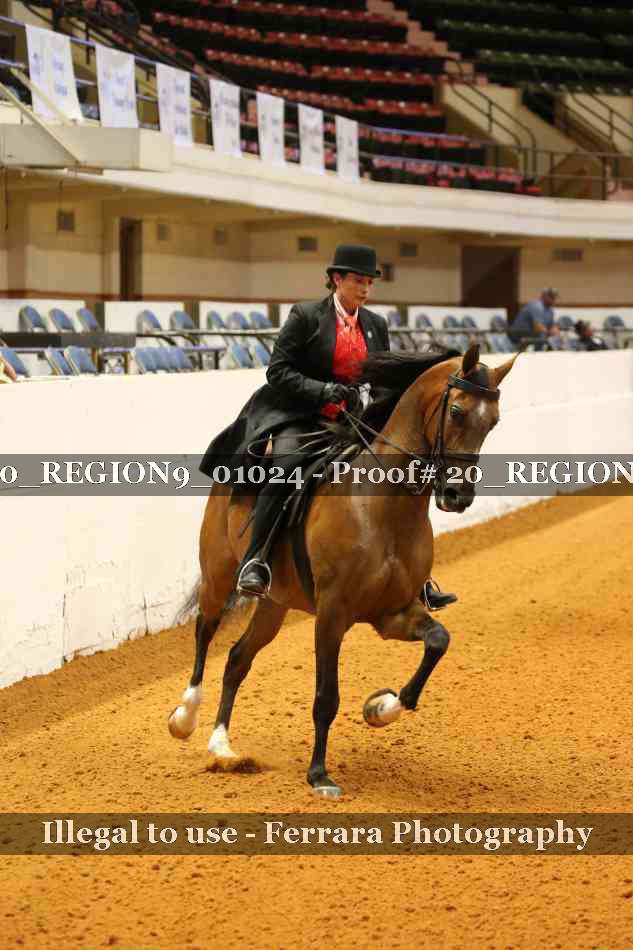 Proof 20_REGION9_01024