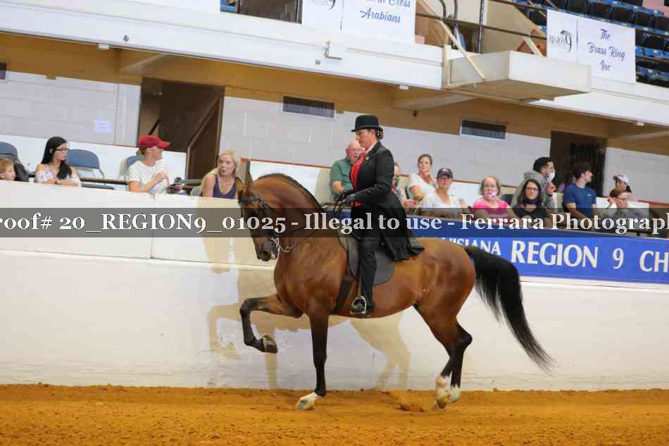 Proof 20_REGION9_01025