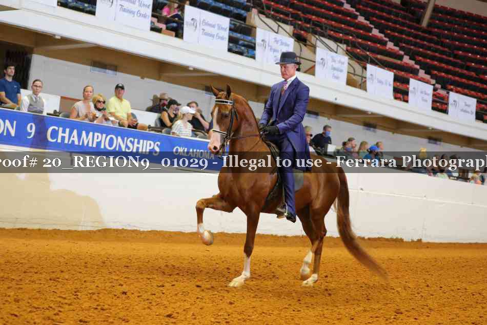 Proof 20_REGION9_01029