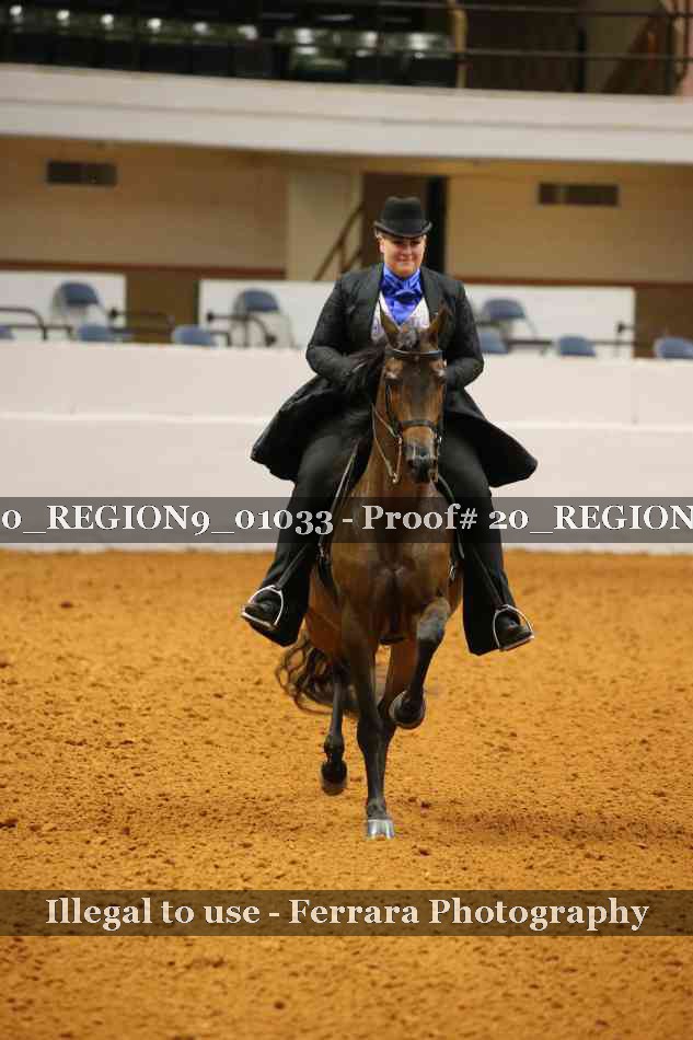 Proof 20_REGION9_01033