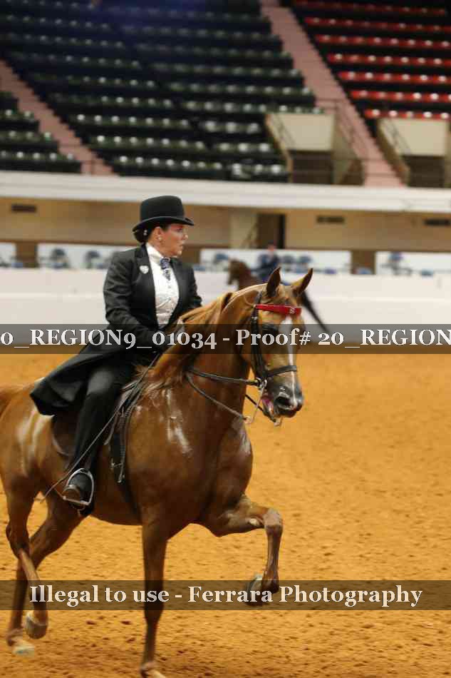 Proof 20_REGION9_01034