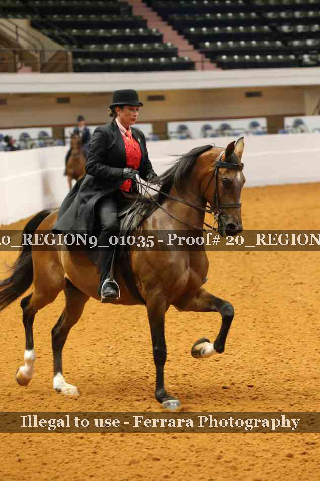 Proof 20_REGION9_01035