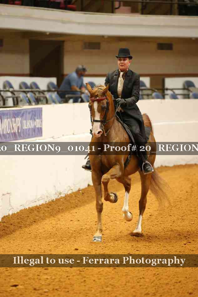Proof 20_REGION9_01041