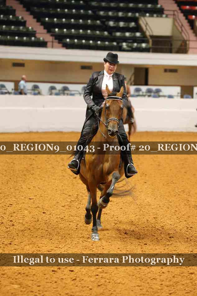 Proof 20_REGION9_01043