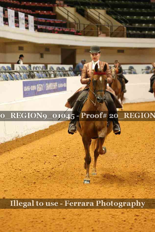 Proof 20_REGION9_01045
