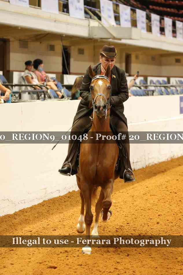 Proof 20_REGION9_01048
