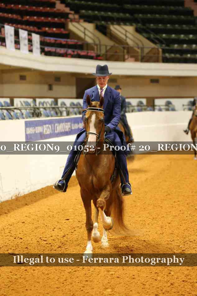 Proof 20_REGION9_01052