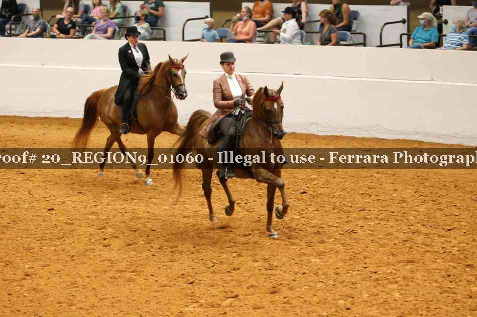 Proof 20_REGION9_01060
