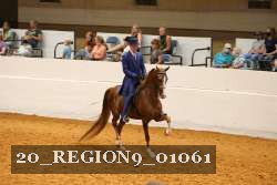 20_REGION9_01061 proof