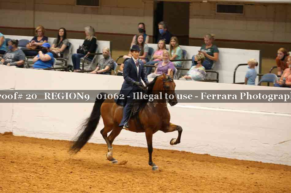 Proof 20_REGION9_01062