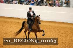 20_REGION9_01063 proof