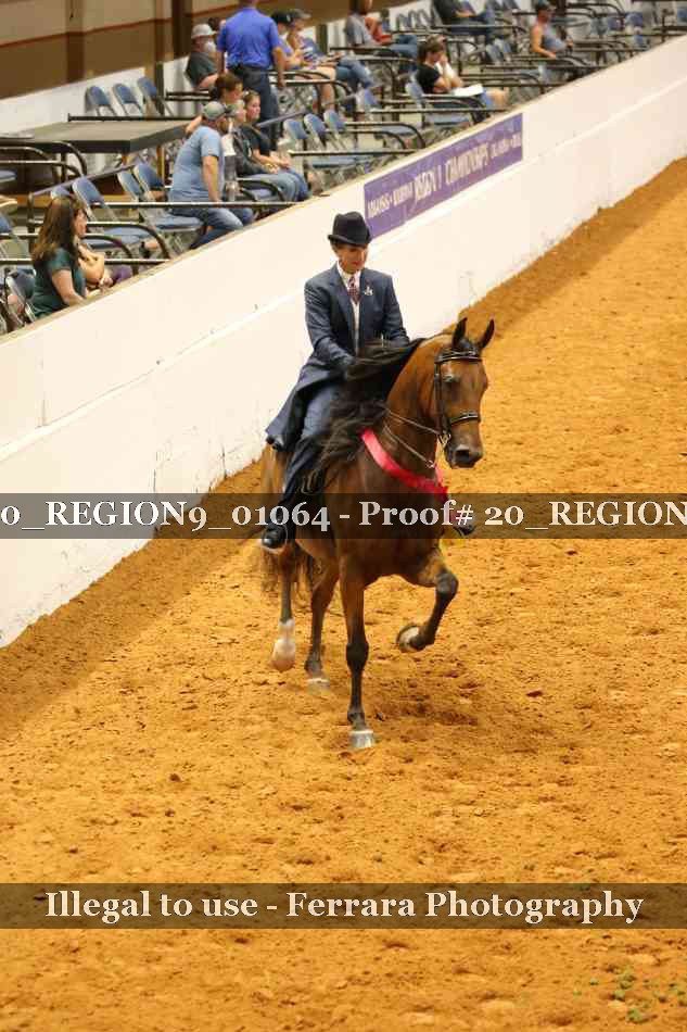 Proof 20_REGION9_01064