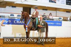 20_REGION9_01067 proof