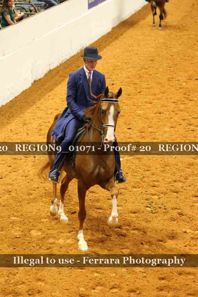 Proof 20_REGION9_01071