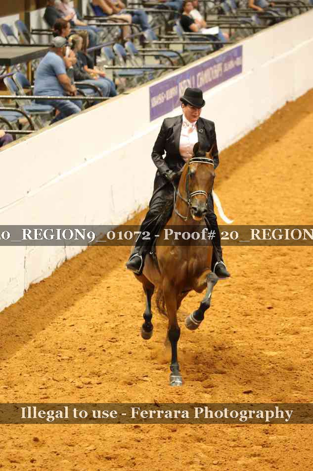 Proof 20_REGION9_01072