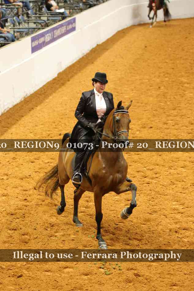 Proof 20_REGION9_01073