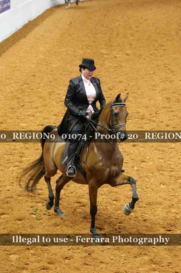 Proof 20_REGION9_01074